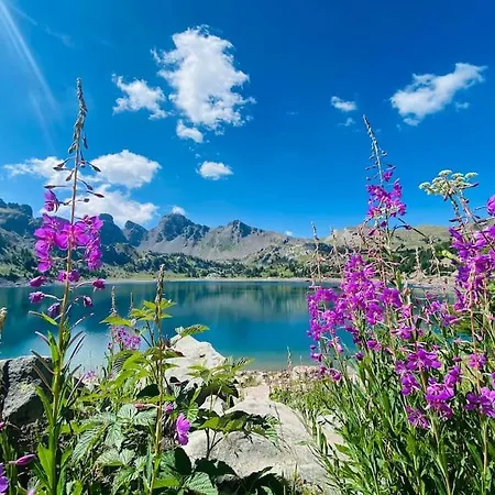 De Charme Avec Vue Sur Le Val D'allos, Parking Et Wifi Gratuit Allos